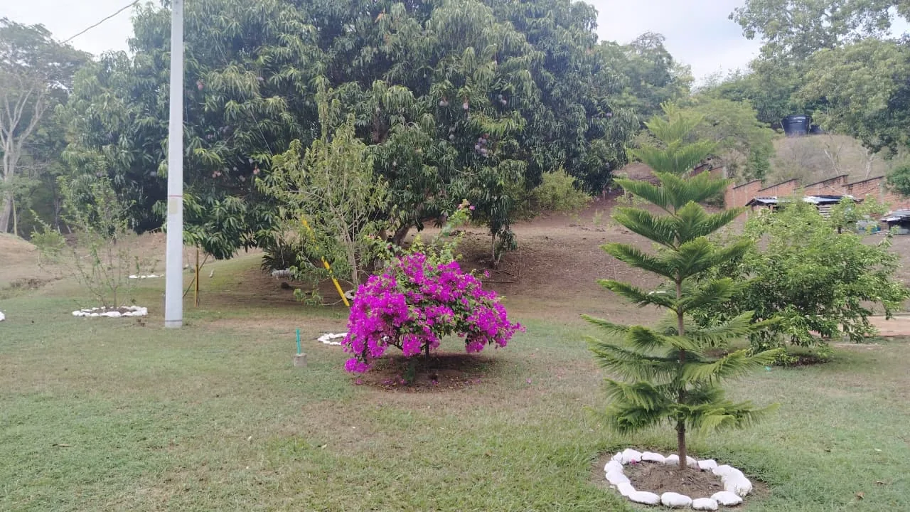 Jardines y zonas verdes de la finca
