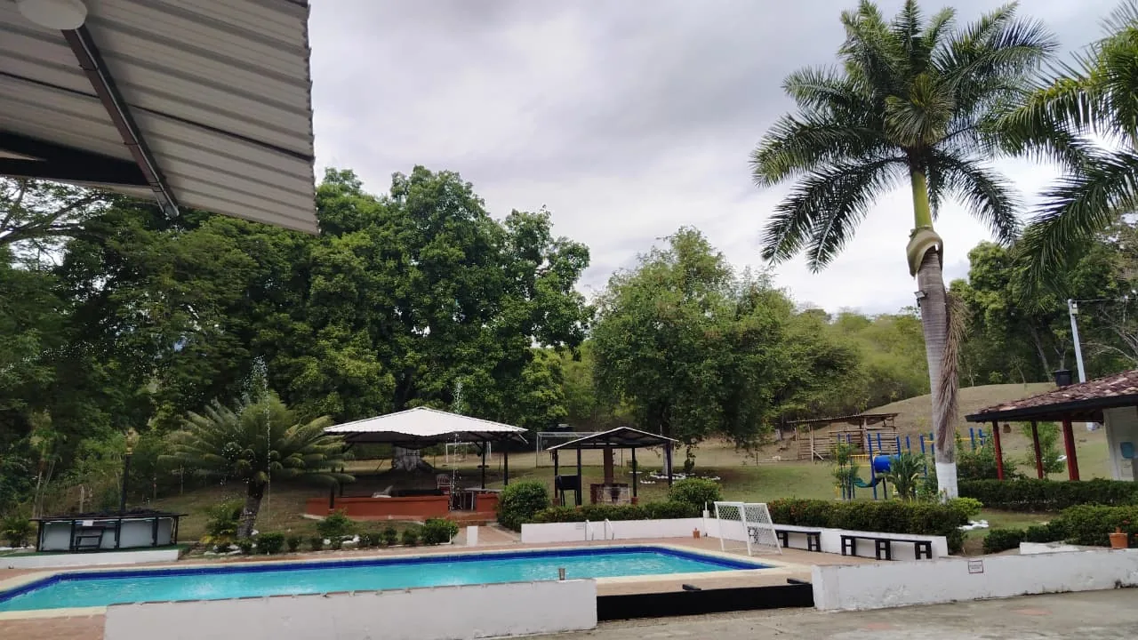 Piscina y zonas de descanso de la finca