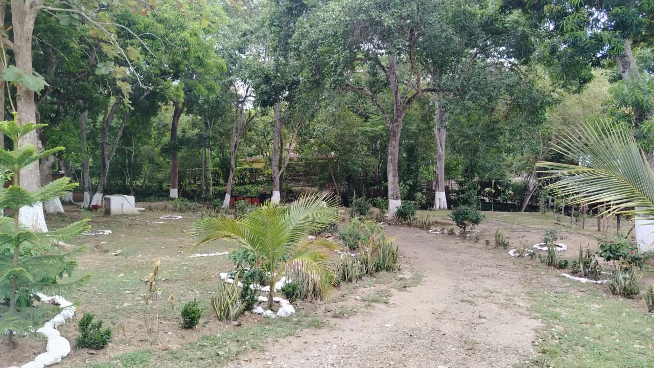 Senderos y zonas verdes de la finca